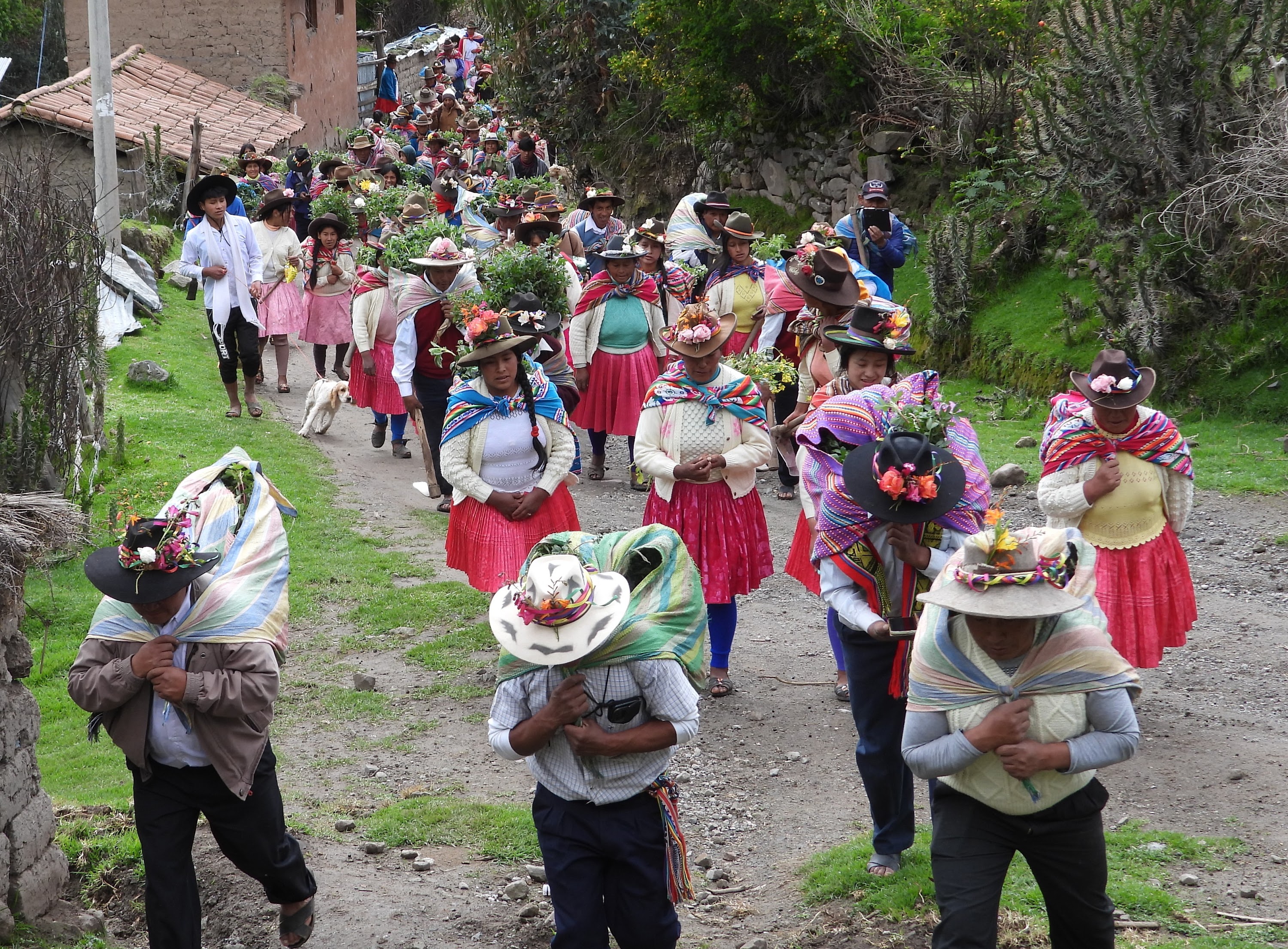 42,700 trees have been successfully planted in one community in Ccorca, Peru.