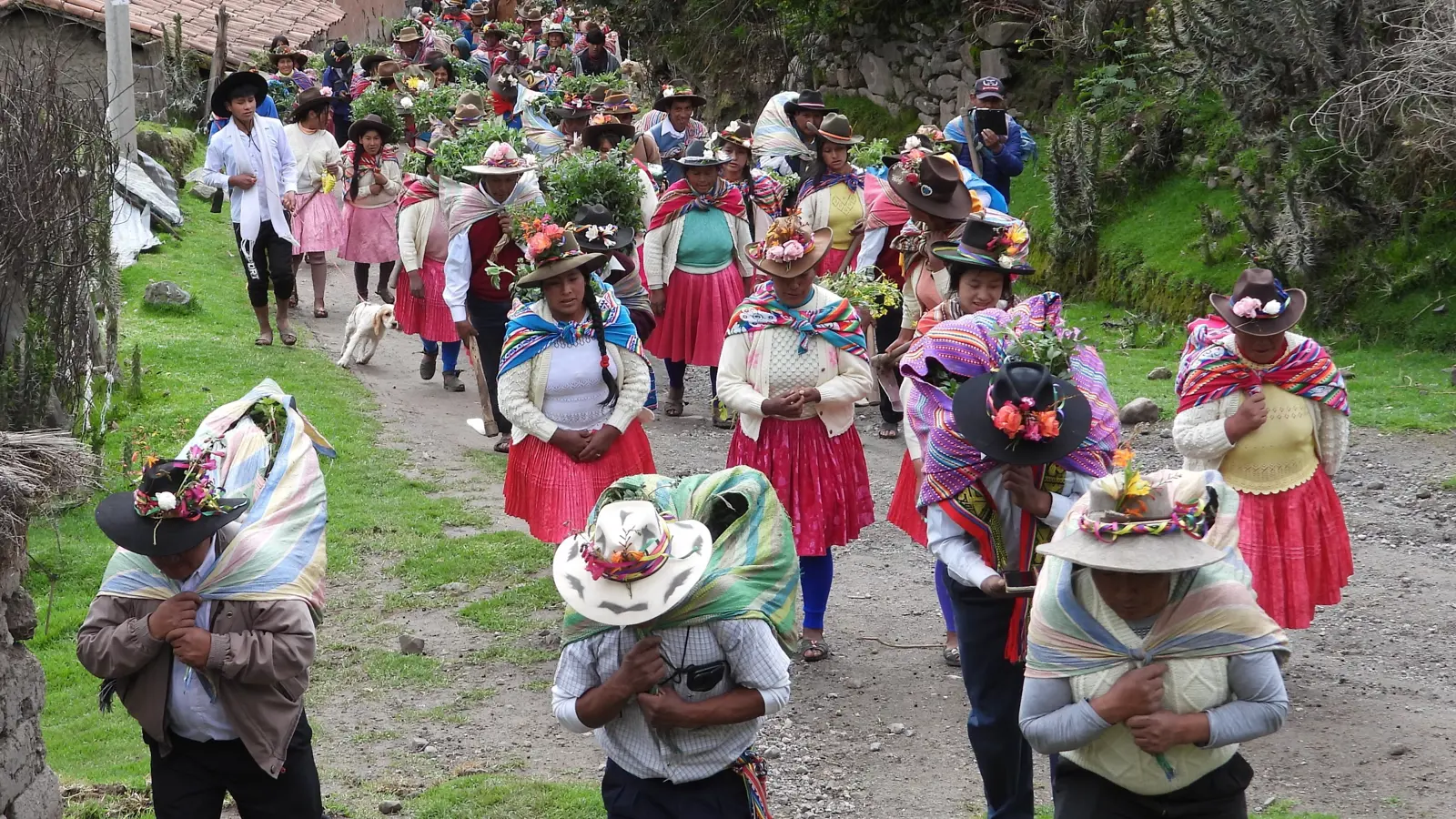 Race to Resilience in action: Acción Andina’s community-led restoration ...