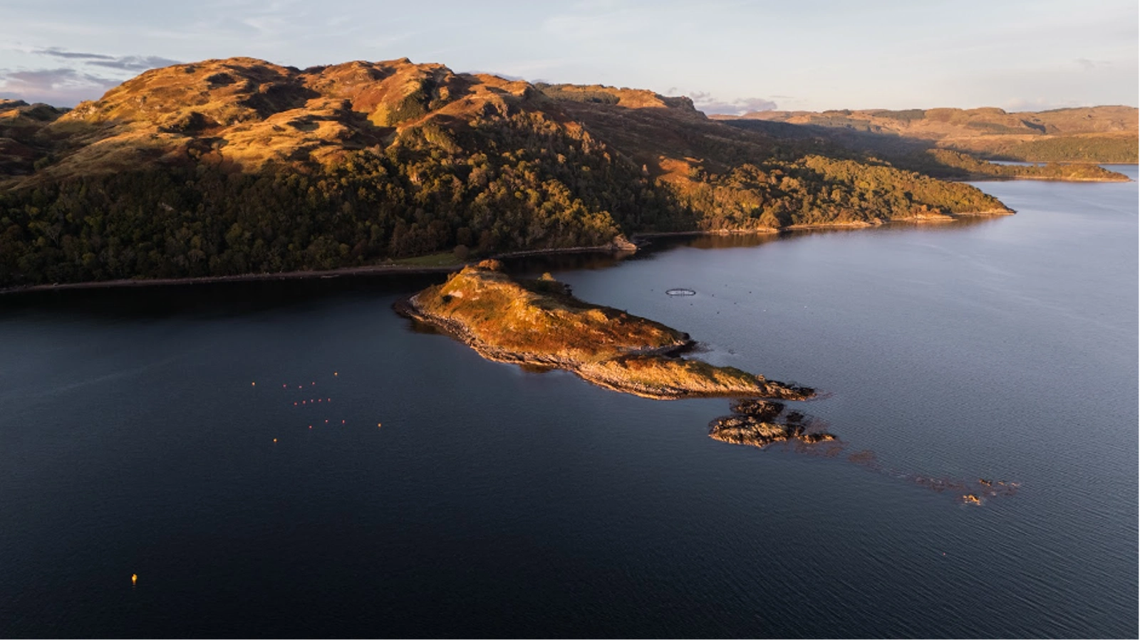 A glimpse of the rewilding efforts from above. Photo Credit: Marla Tomorug