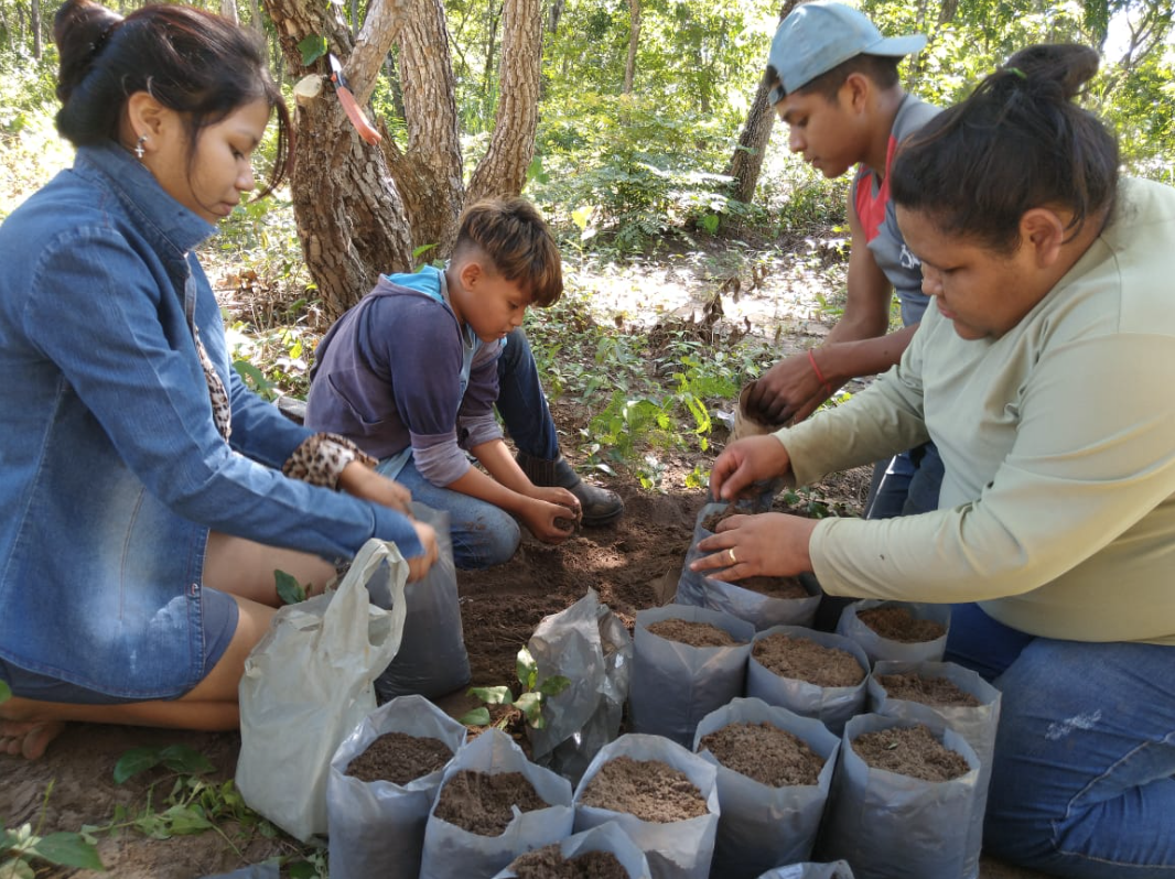 The organisation strengthens the autonomy of Indigenous families through cultural and ethno-agroecological practices.