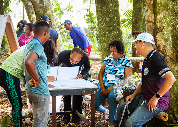 Marajó Resilient: Strengthening Climate Adaptation for Local Communities