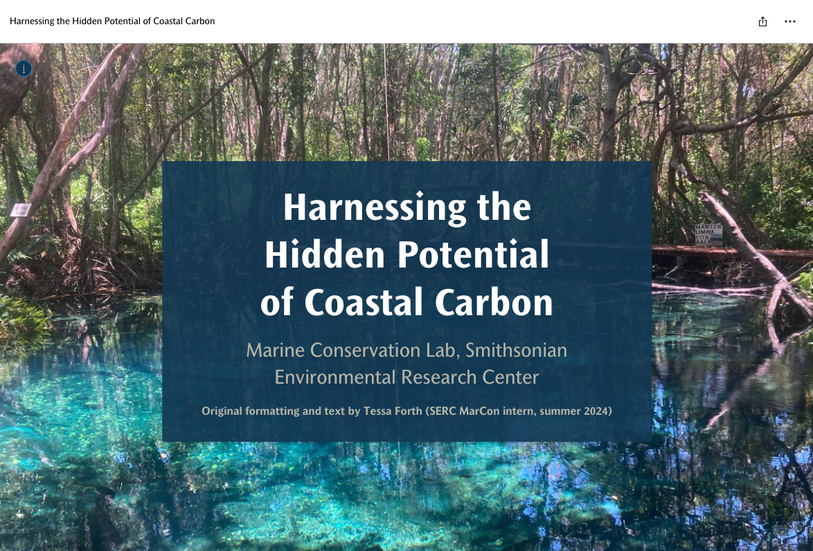 Harnessing the Hidden Potential of Coastal Carbon