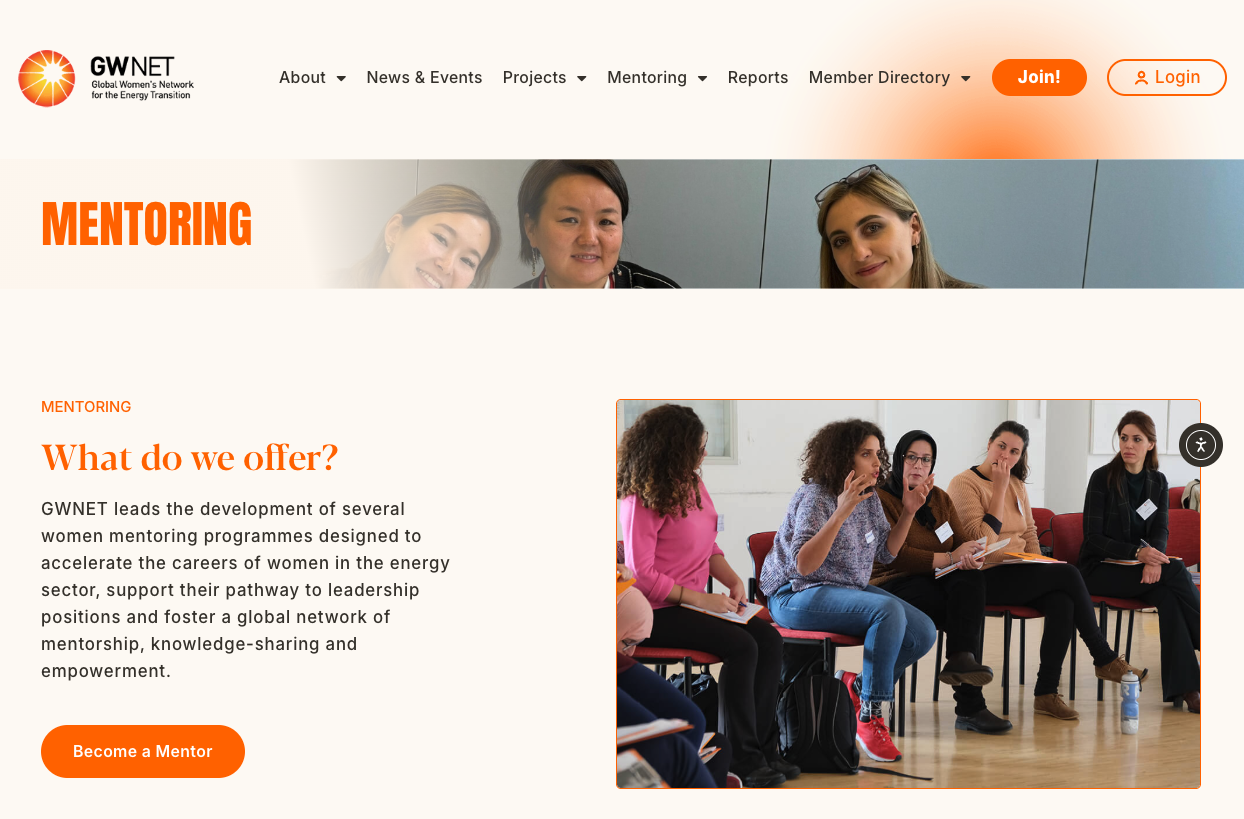 GWNET’s mentoring programmes