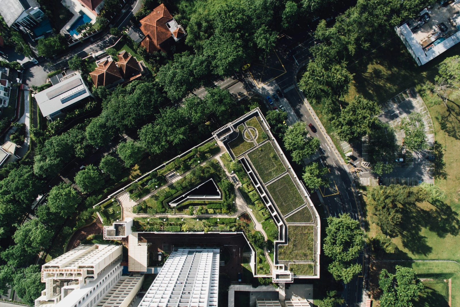Rooftop garden. Urban green spaces are another form of nature-based solution that improve air and water quality while regulating temperature. 