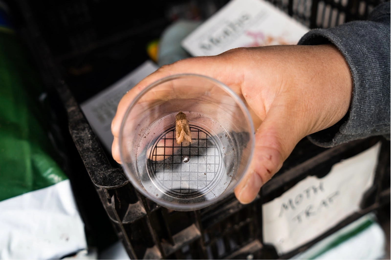 The estate supports biodiversity of all kinds. Photo Credit: Marla Tomorug