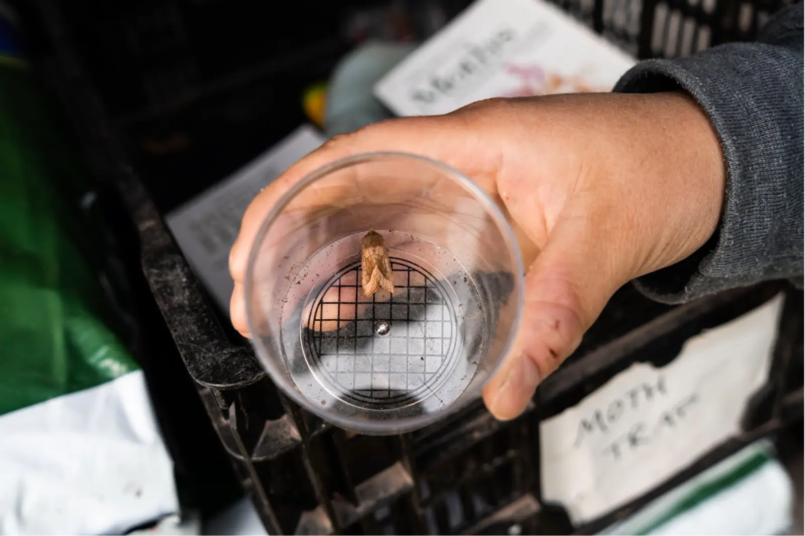 The estate supports biodiversity of all kinds. Photo Credit: Marla Tomorug