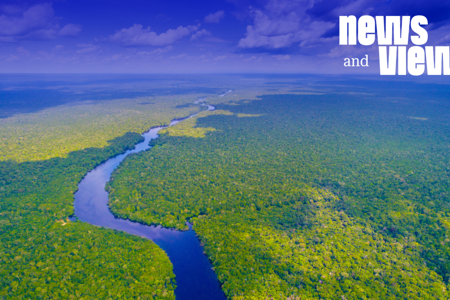 News & Views: The Countdown to COP30