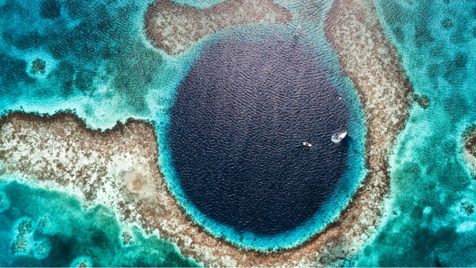Diving the Great Blue Hole in Belize with Tara. Photo Credit: Marla Tomorug