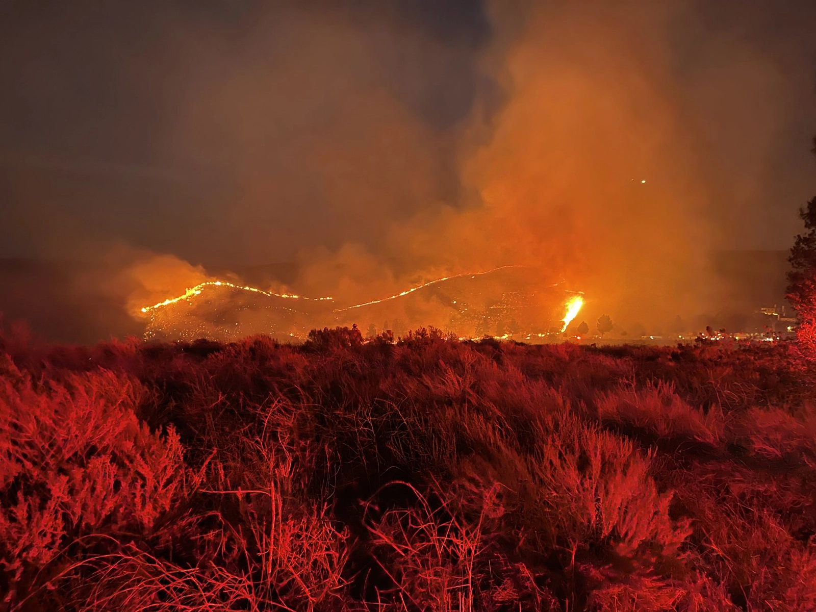 As of July 26, 2021, a total of 5,566 fires have been recorded, burning 458,429 acres across the state of California. Image: Erbes Fire in Thousand Oaks, California at about 30 acres. Ventura County Fire Department.