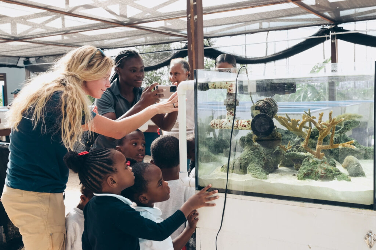 Image: Coral Vita: General Technician, Annabelle Purvis, showing school children one of our aquariums in our Education Center.
