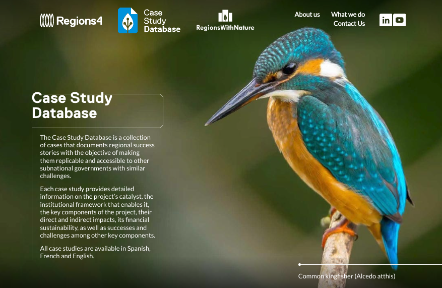 The Case Study Database