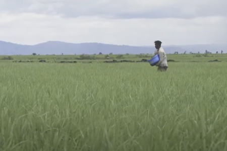 Waste to Fertiliser: Increasing Yield Changing Lives with Safi Organics
